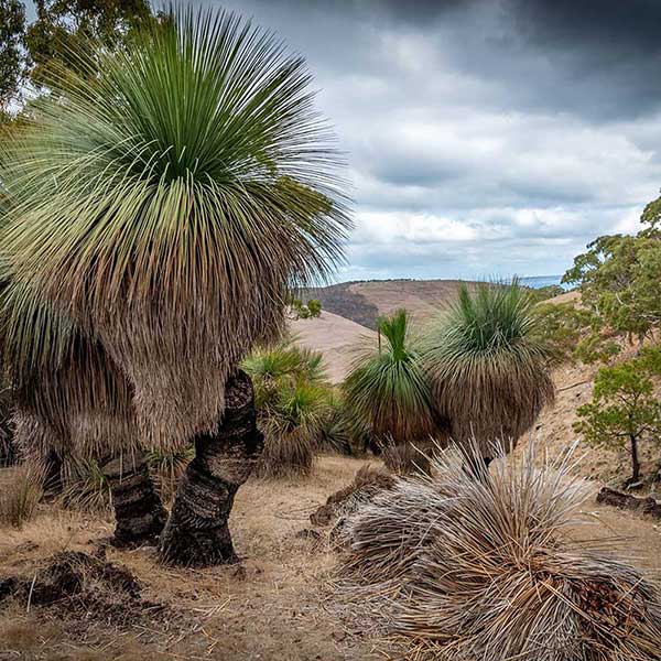 Things to do in Victor Harbor South Australia